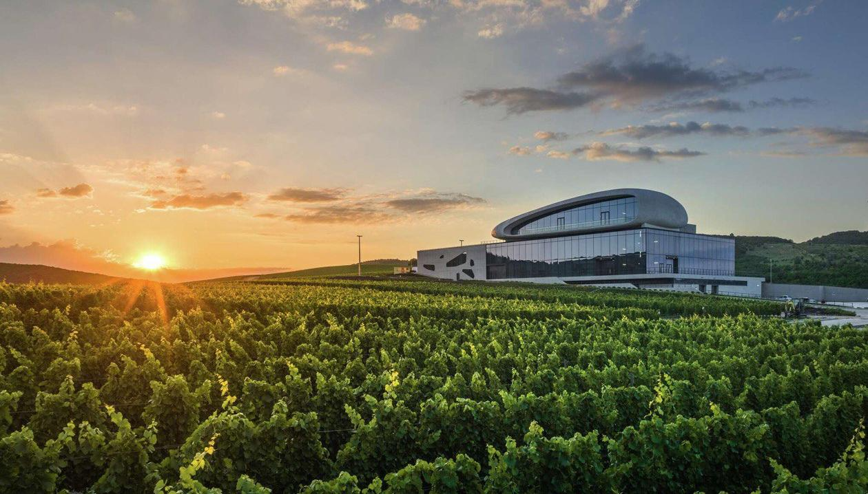 -20% на индивидуальные экскурсии!